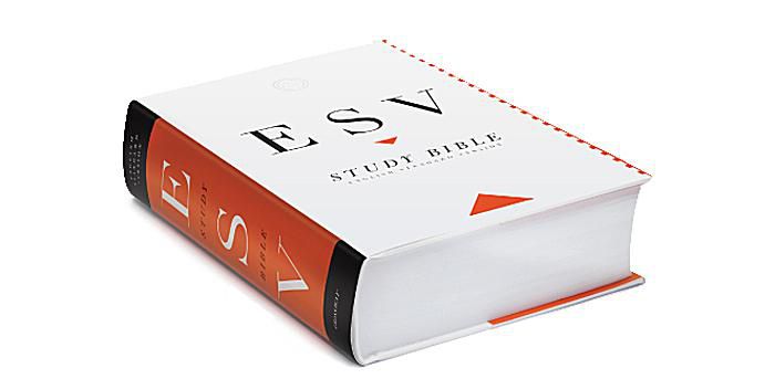 As 10 mellores biblias de estudo de 2023