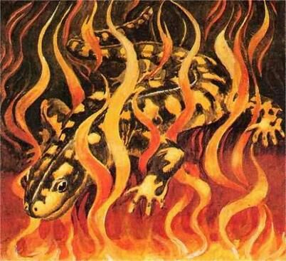 Fire Magic Folklore, leginden en myten
