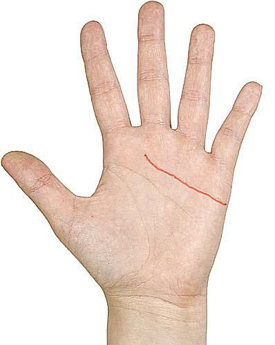 手相の基礎知識：手のひらの線を探る