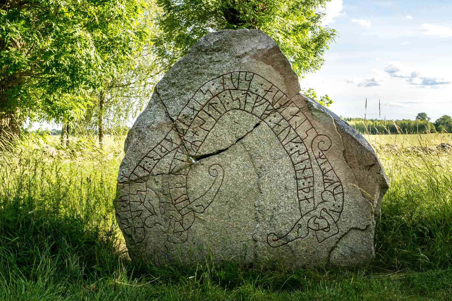 The Norse Runes - Trosolwg Sylfaenol