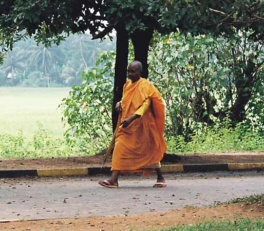 एक बौद्ध भिक्षु के जीवन और भूमिका का अवलोकन