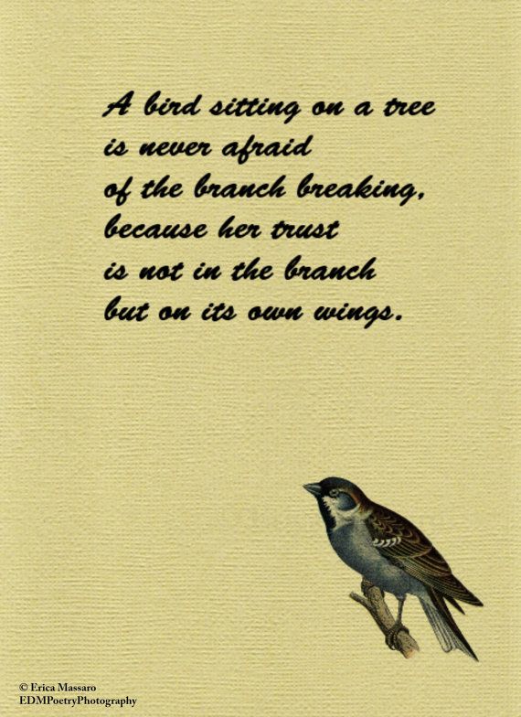 Spirituelle citater om fugle