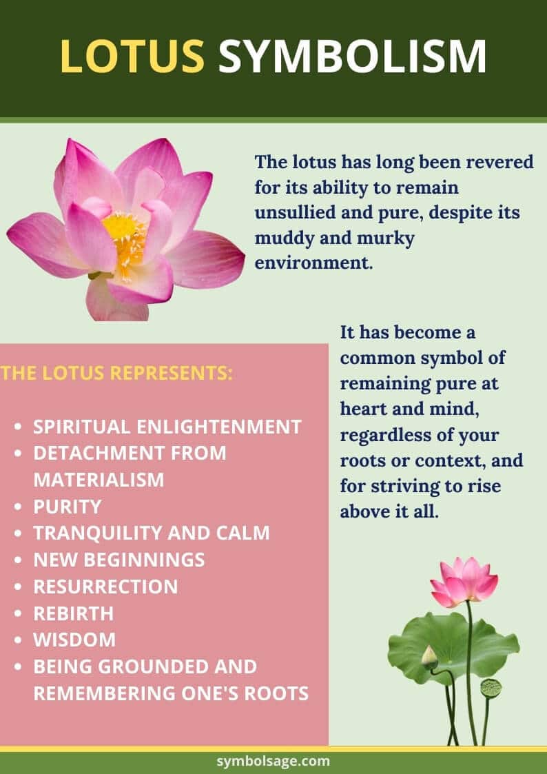 De vele symbolische betekenissen van de lotus in het boeddhisme