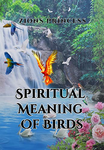 Die spirituellen Bedeutungen der Vögel