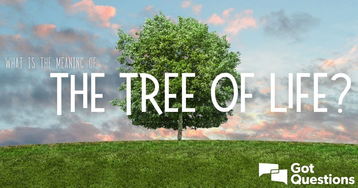 성경에 나오는 생명나무는 무엇입니까?